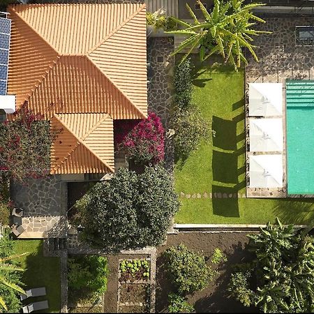 Bordal Houses فونشال المظهر الخارجي الصورة