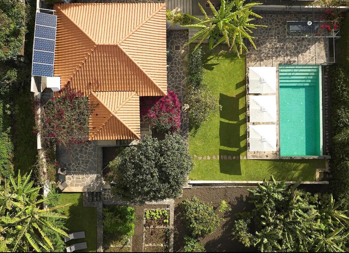 Bordal Houses فونشال المظهر الخارجي الصورة